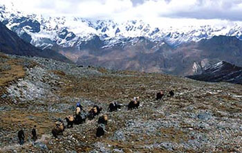 Trekking in Bhutan