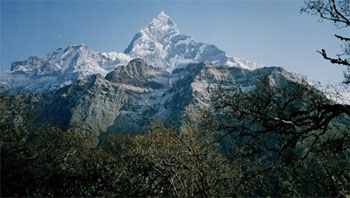 Mardi Himal Trekking